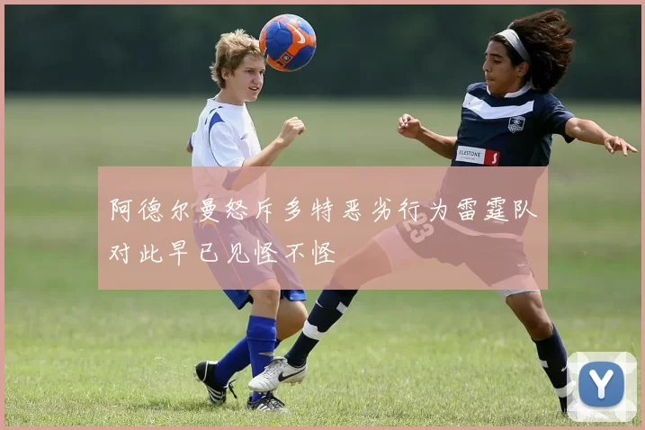 阿德尔曼怒斥多特恶劣行为雷霆队对此早已见怪不怪